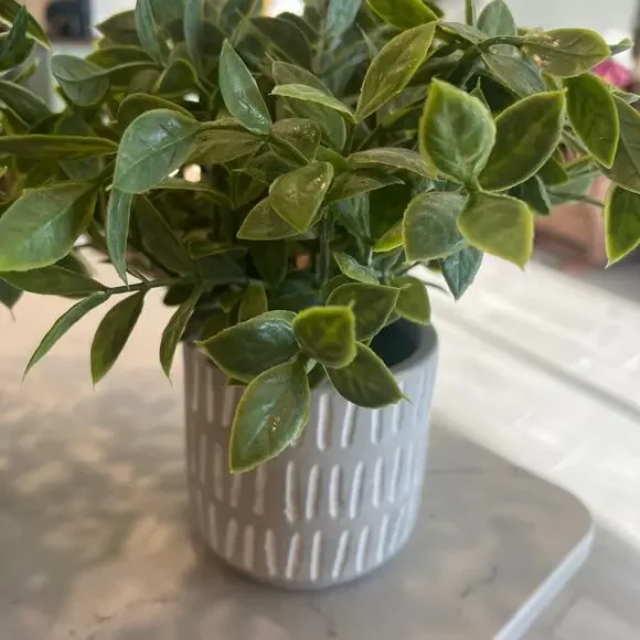 (2) Faux plants - Picture 3 of 9